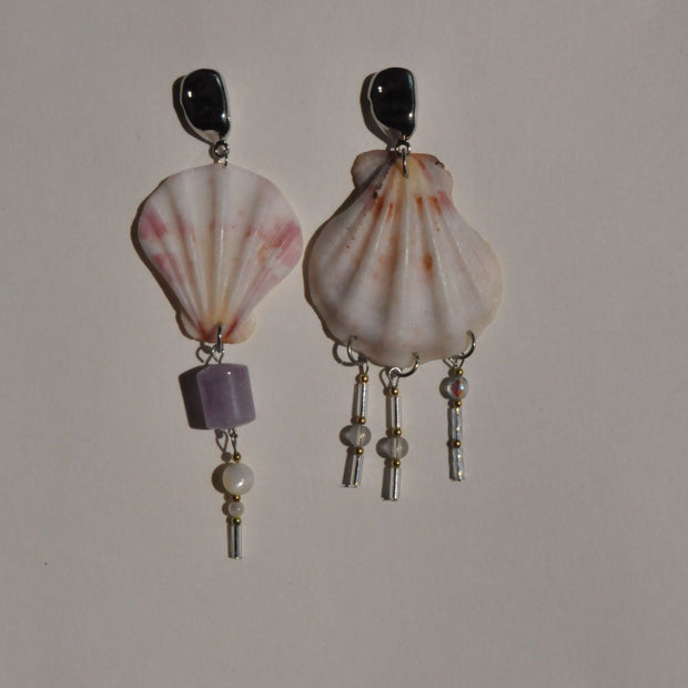 Shell Earrings