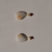 Shell Earrings