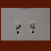 Shell Earrings