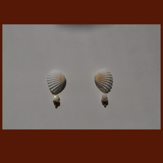 Shell Earrings